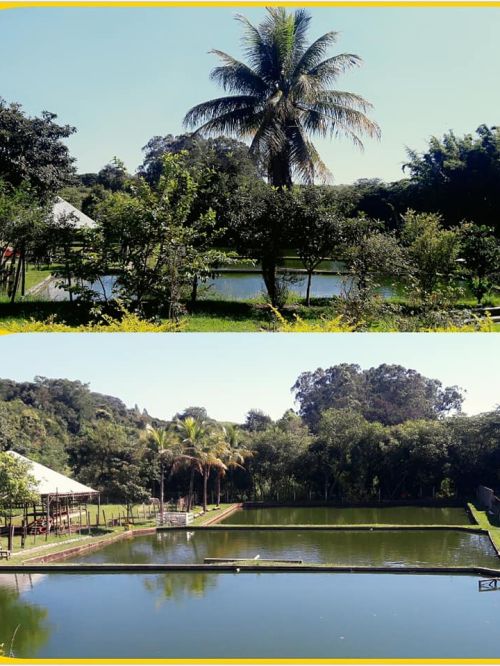 Pesqueiro Recomeço
